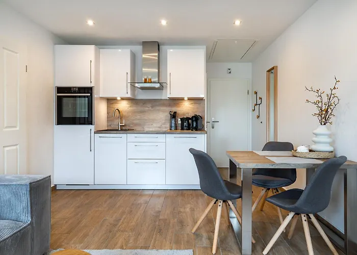 Friesenstuuv Apartament *